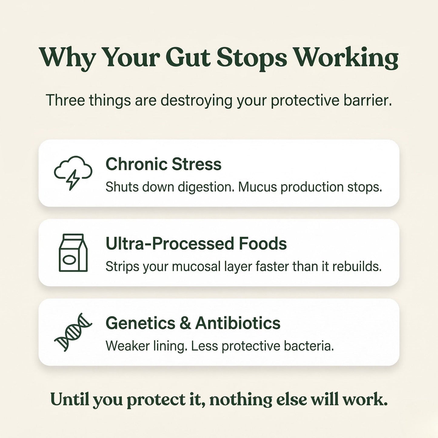 Ultimate Gut Solution - Slippery Elm