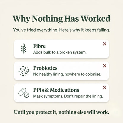 Ultimate Gut Solution - Slippery Elm
